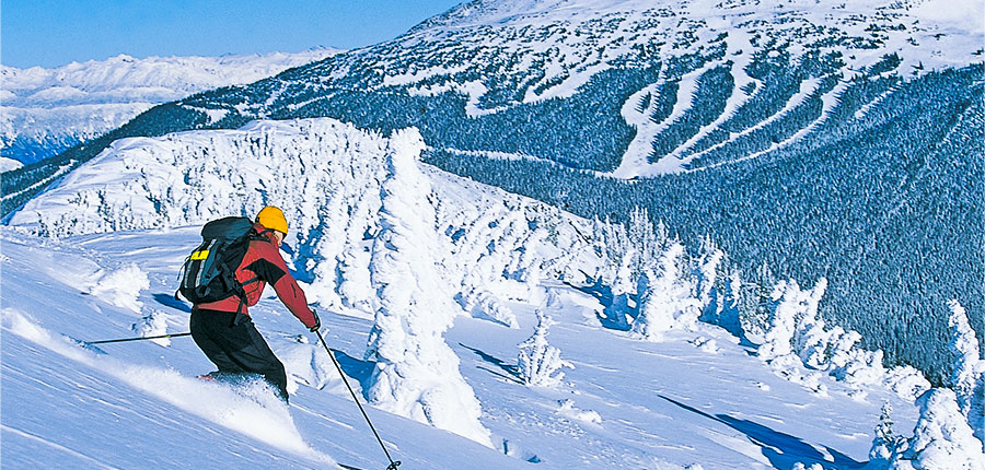 ski trips for singles over 40