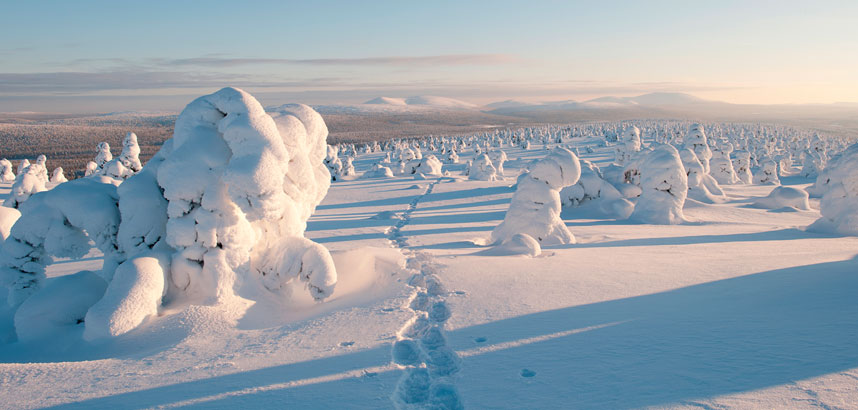 christmas 2019/2020 lapland